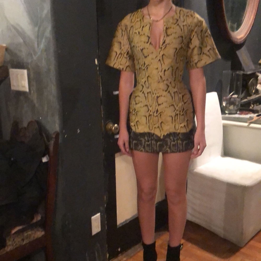 Stella McCartney PARTY Snakeskin Print Dress, SZ 36 - Picture 3 of 15